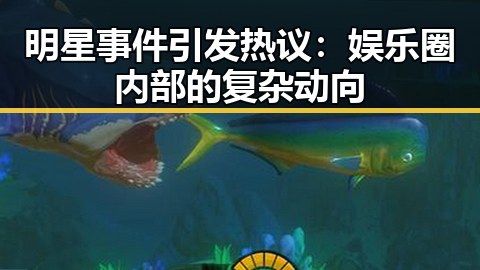 明星事件引发热议：娱乐圈内部的复杂动向
